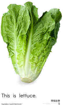 Vegetables	绘本故事第5页