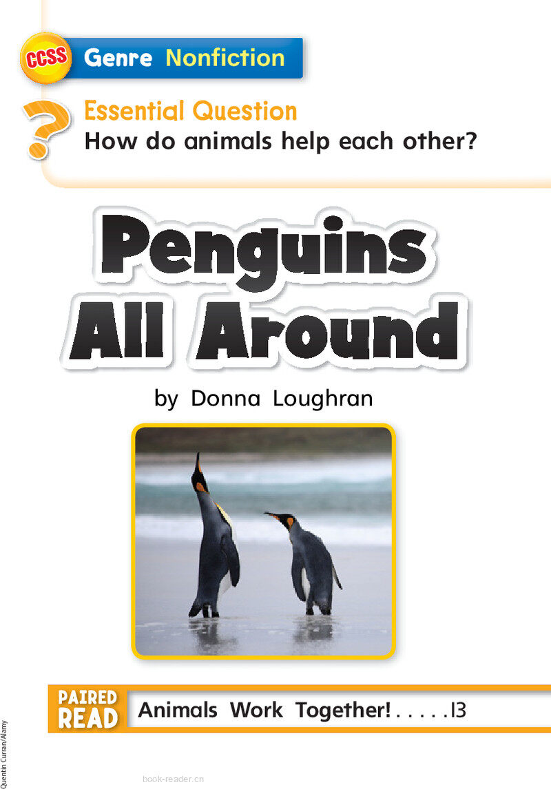 G1 On U4W2 Penguins All Around绘本故事第3页