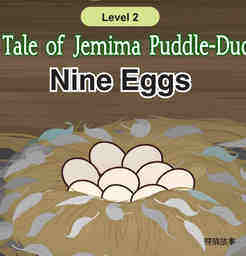Nine Eggs