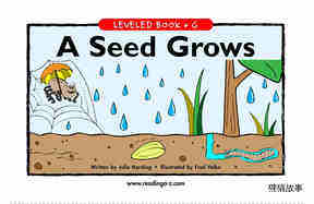 A Seed Grows
