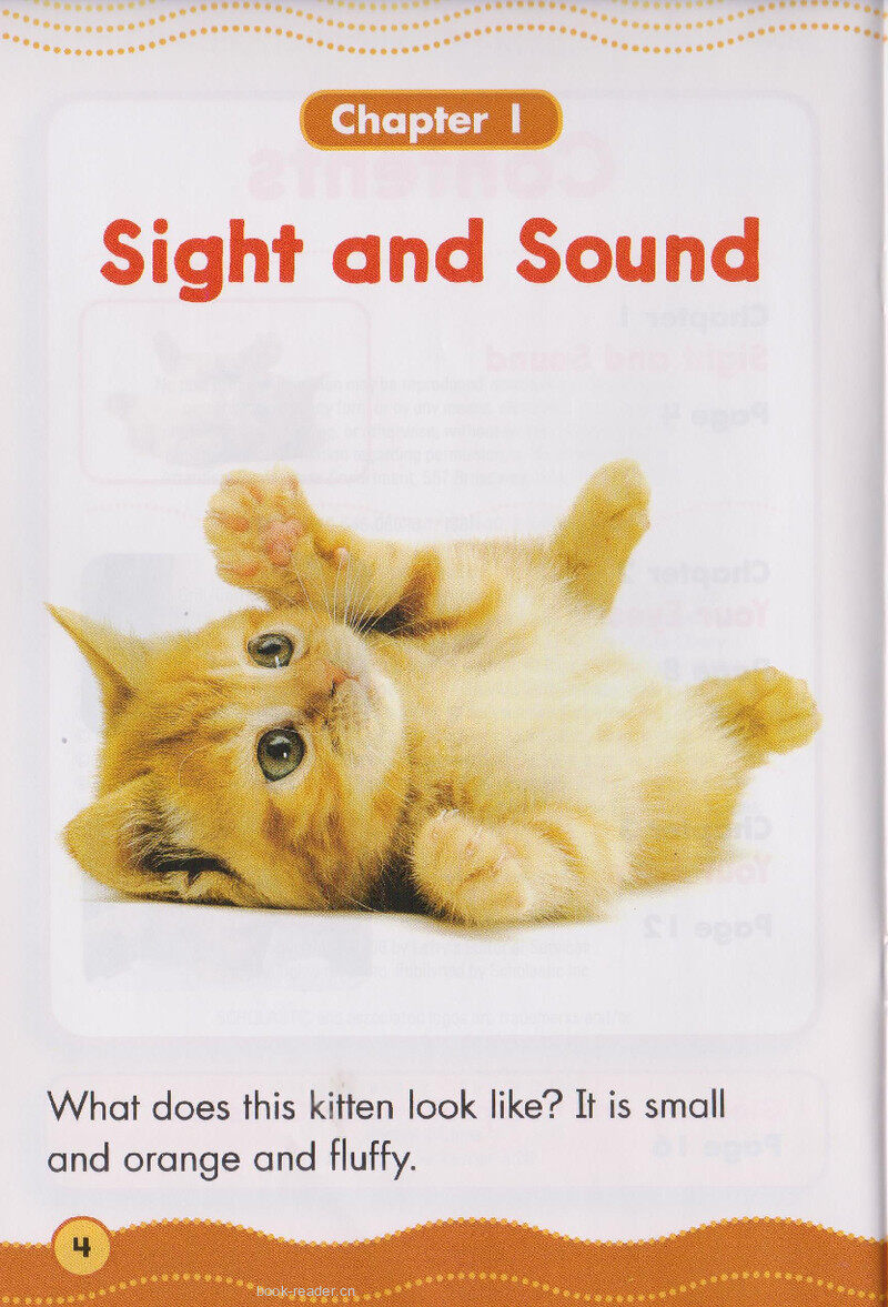 Your Eyes and Ears绘本故事第3页