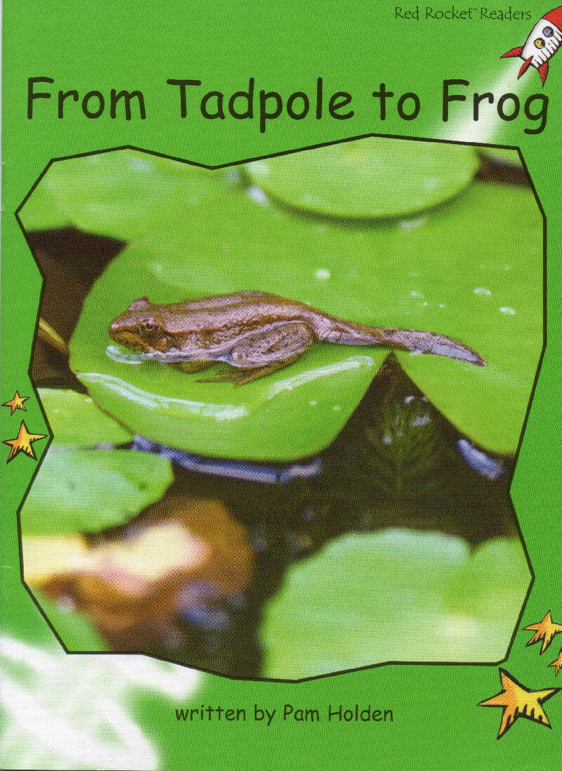 from tadpole to frog绘本故事第2页