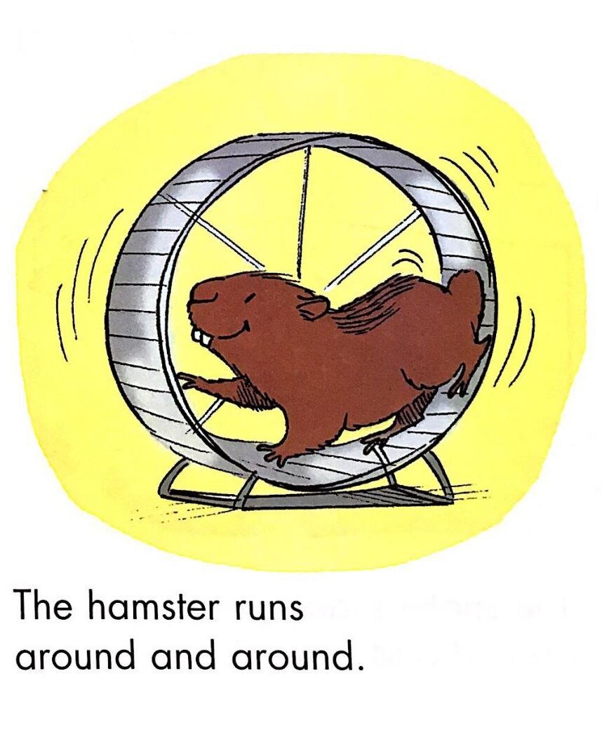 Class pets绘本故事第5页