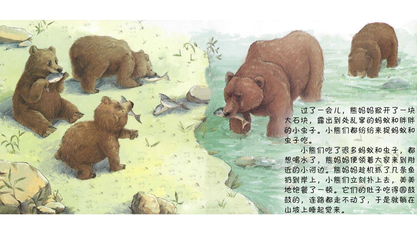 孤独的灰熊卡普绘本故事第5页