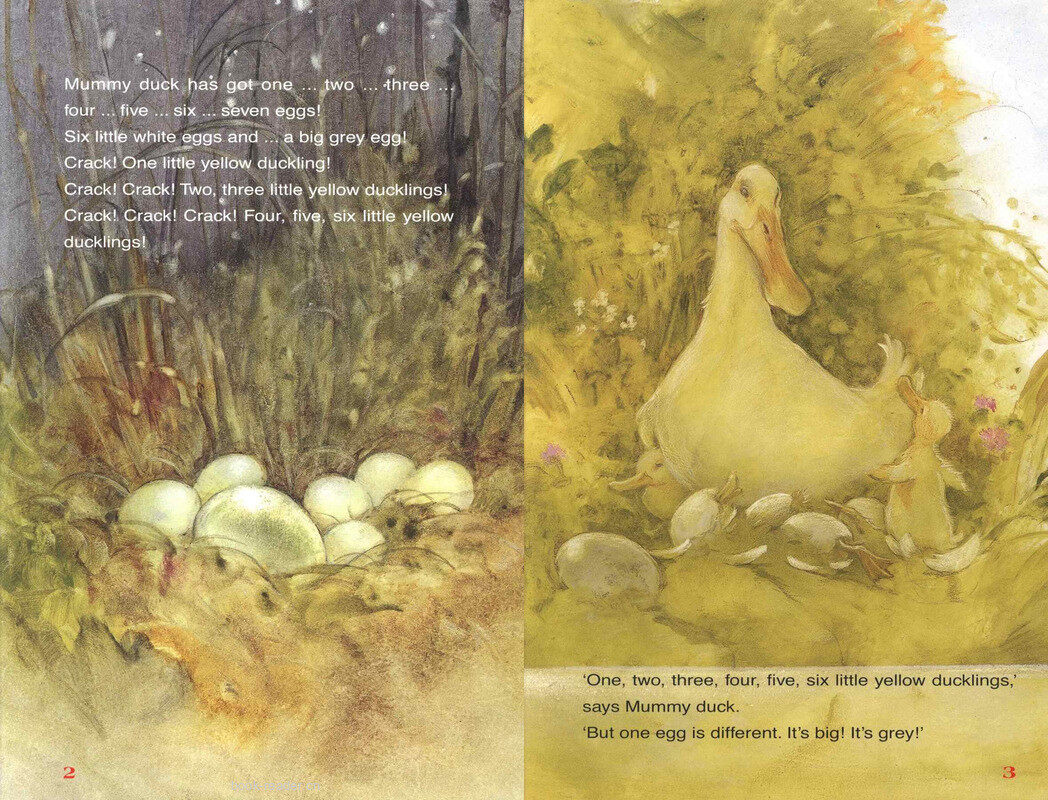 The Ugly Duckling绘本故事第3页