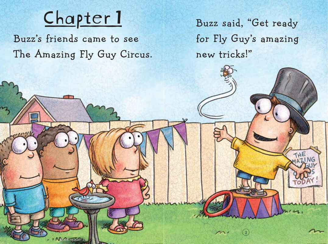Fly Guy's Amazing Tricks绘本故事第4页