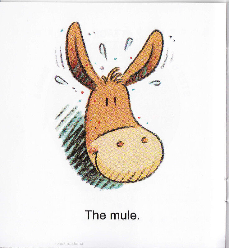 Mule on A Cruise绘本故事第3页