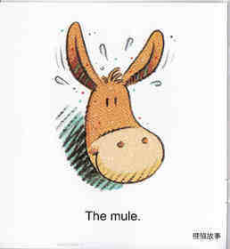 Mule on A Cruise绘本故事第3页