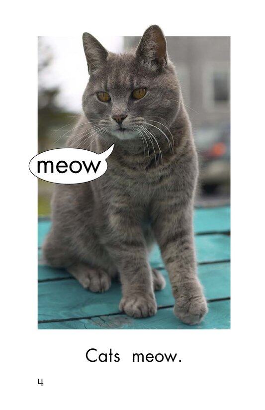 Animal Sounds绘本故事第4页