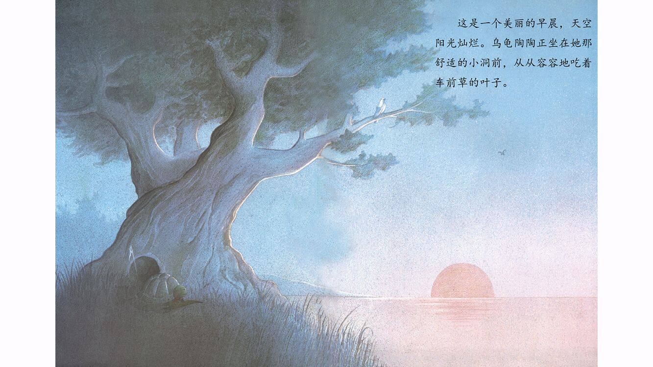 犟龟绘本故事第4页