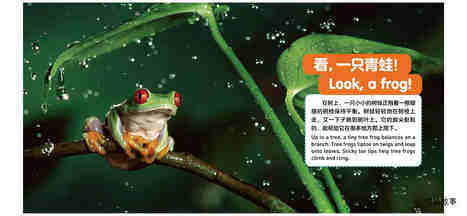 青蛙绘本故事第3页