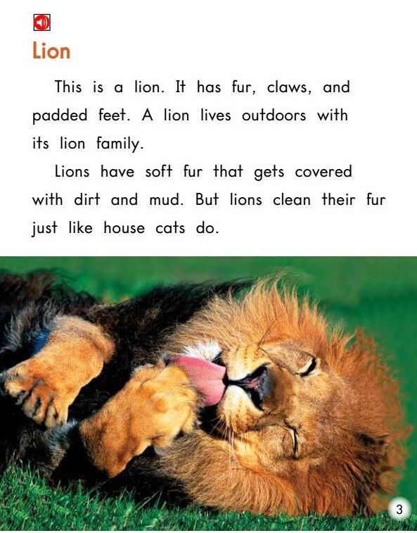 Little Cat,Big Cat绘本故事第4页