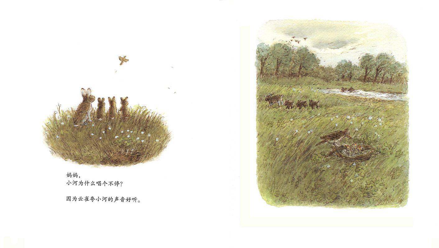 妈妈，为什么？绘本故事第4页