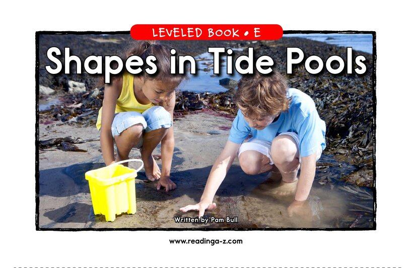 Shapes in Tide Pools绘本故事第2页