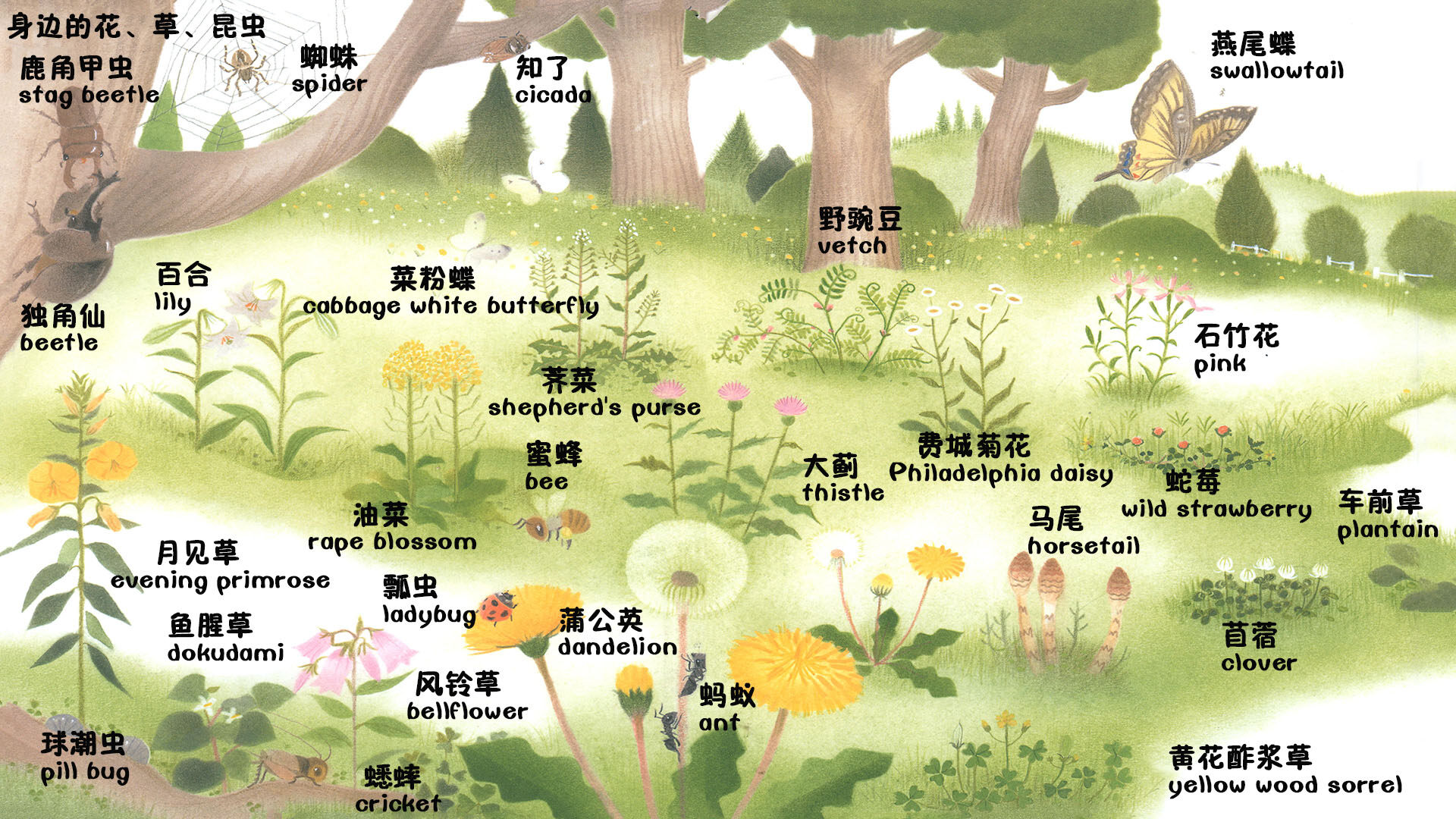 谁来的信绘本故事第5页