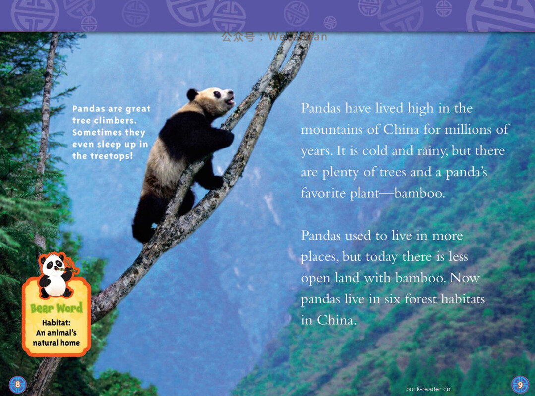 Pandas绘本故事第5页