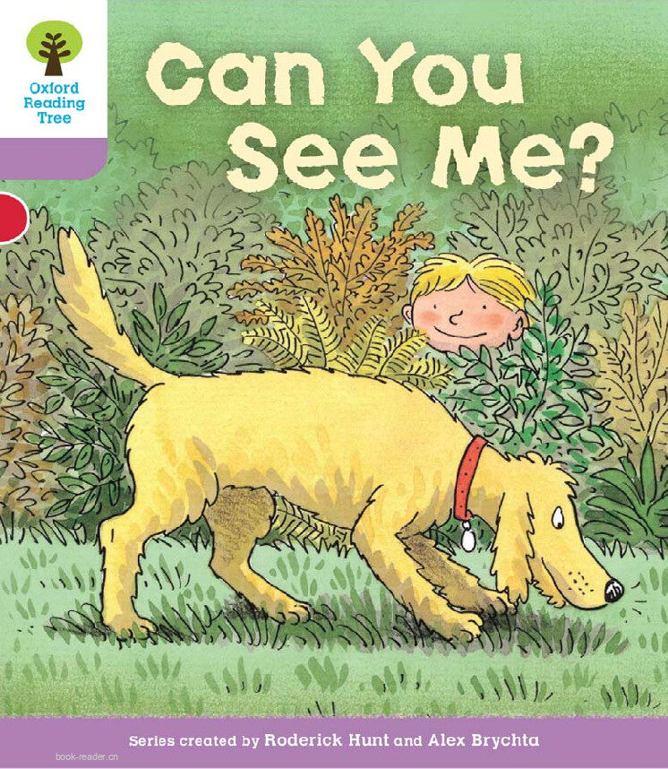 Can You See Me绘本故事第2页