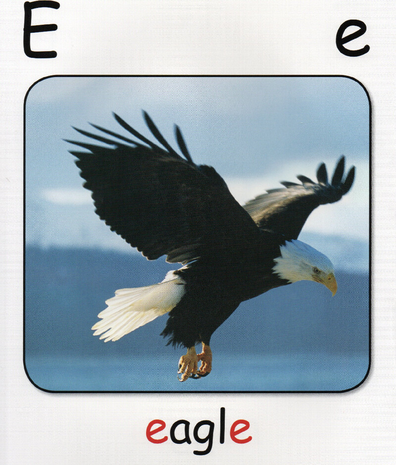 E绘本故事第4页