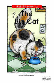 The Big Cat