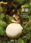 诞生了！草蜥