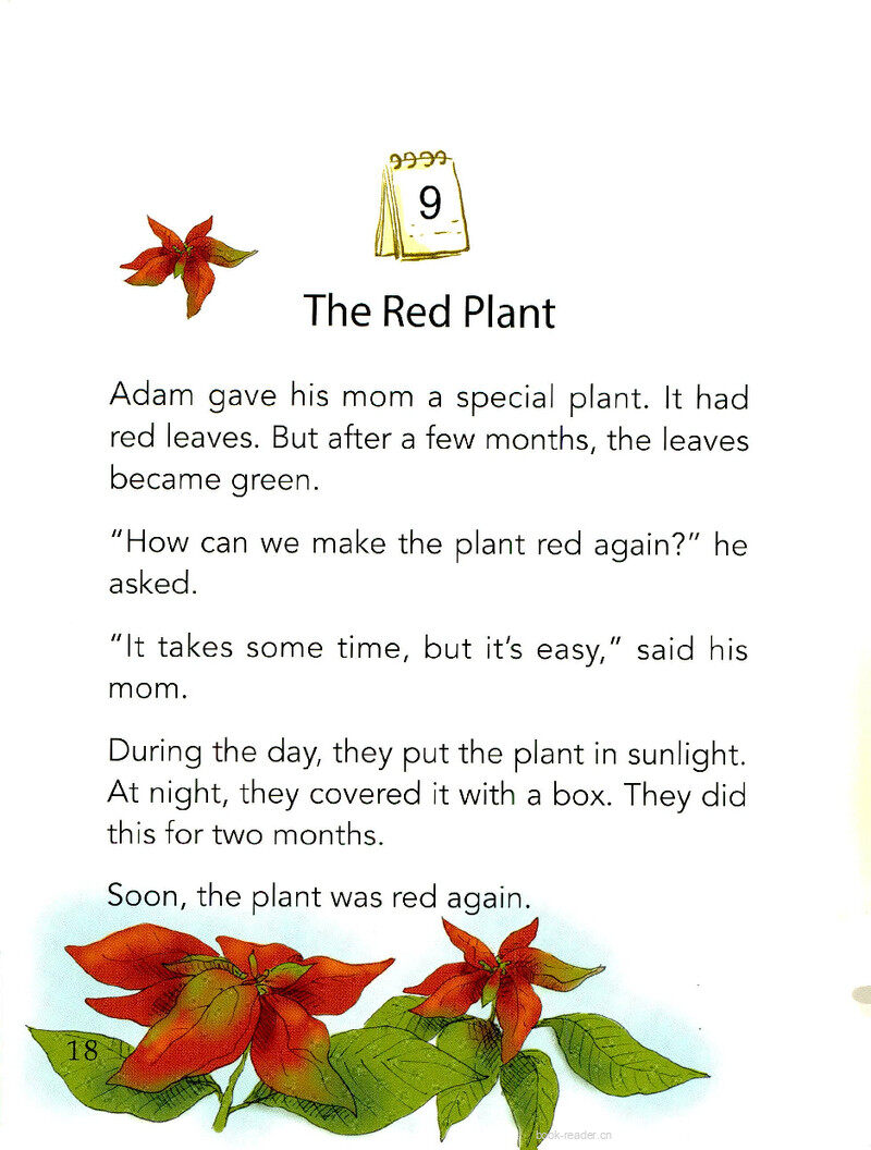 The Red Plant绘本故事第2页