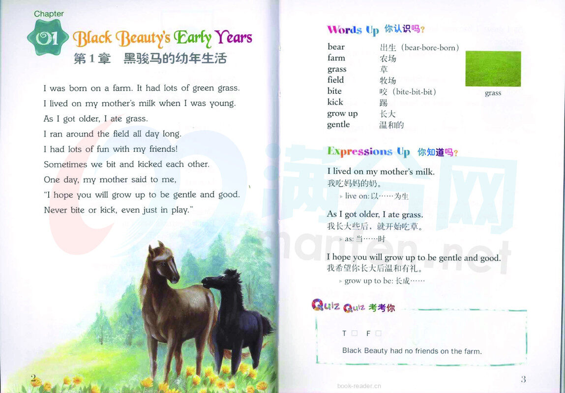 黑骏马 Black Beauty绘本故事第3页