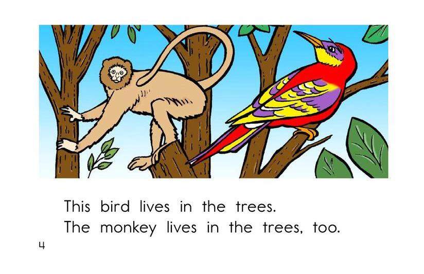 Where Animals Live绘本故事第4页