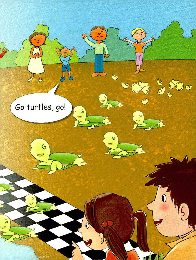 The Turtle Race绘本故事第3页