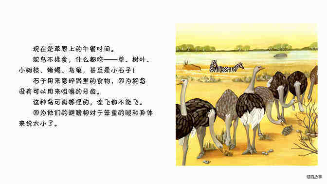鸵鸟绘本故事第3页