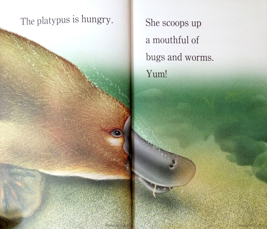 Platypus绘本故事第5页