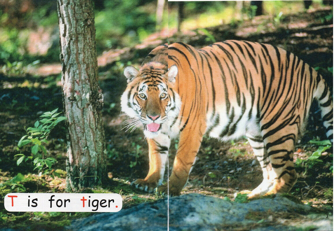 who has stripes？绘本故事第3页