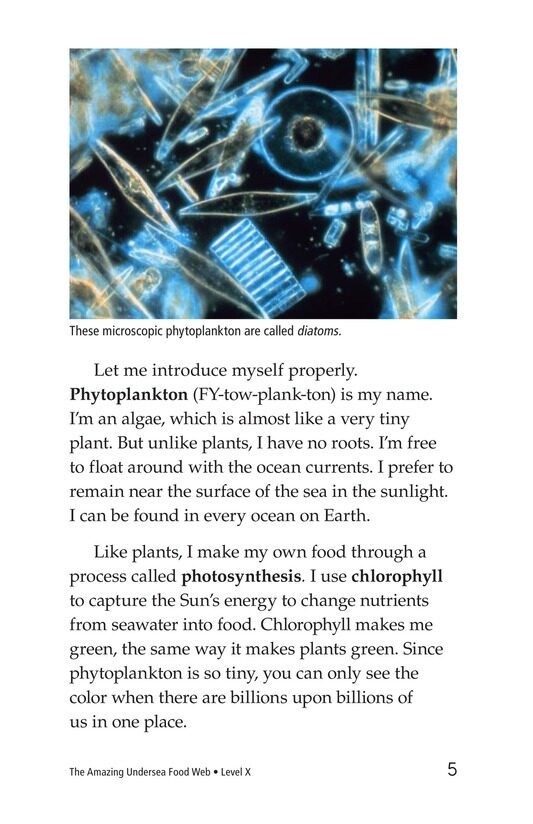The Amazing Undersea Food Web绘本故事第4页