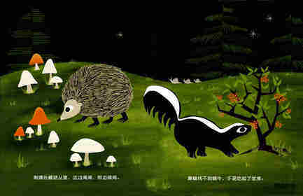 小猫头鹰的夜游绘本故事第4页