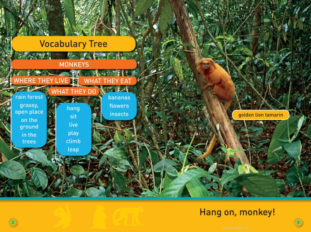 Hang On Monkey绘本故事第3页