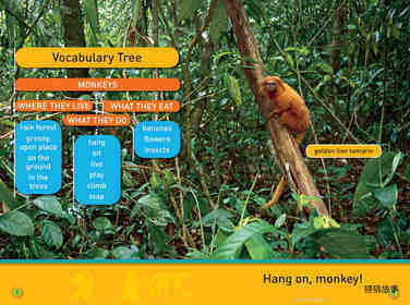 Hang On Monkey绘本故事第3页