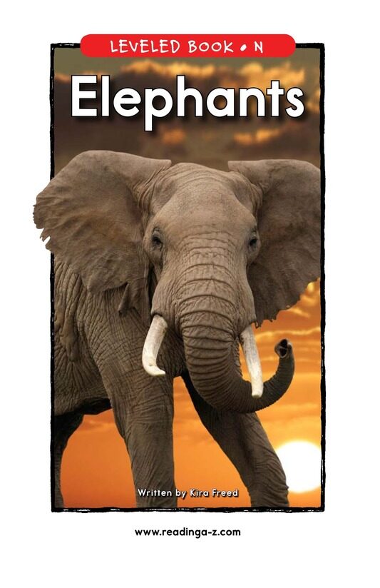 Elephants绘本故事第2页