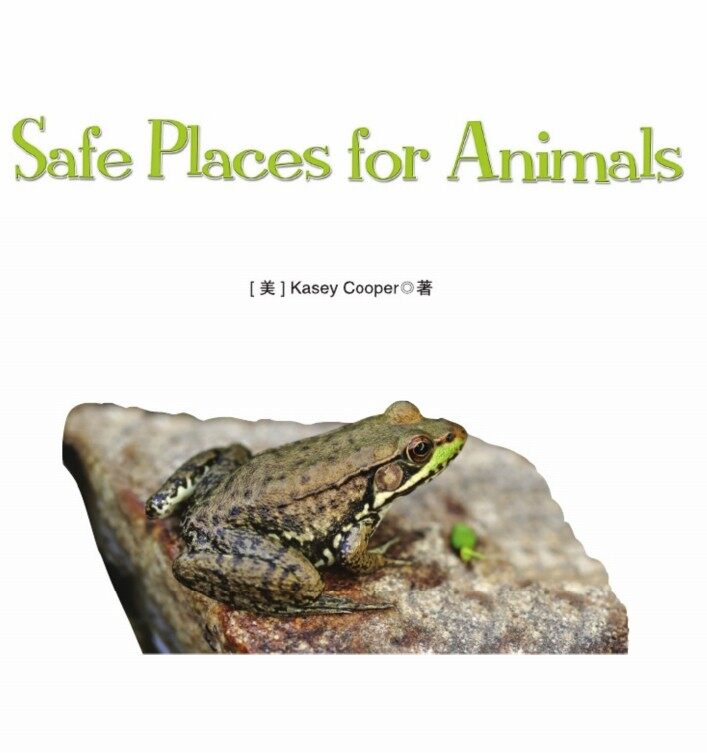Safe Places for Animals绘本故事第2页