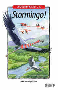 Stormingo!