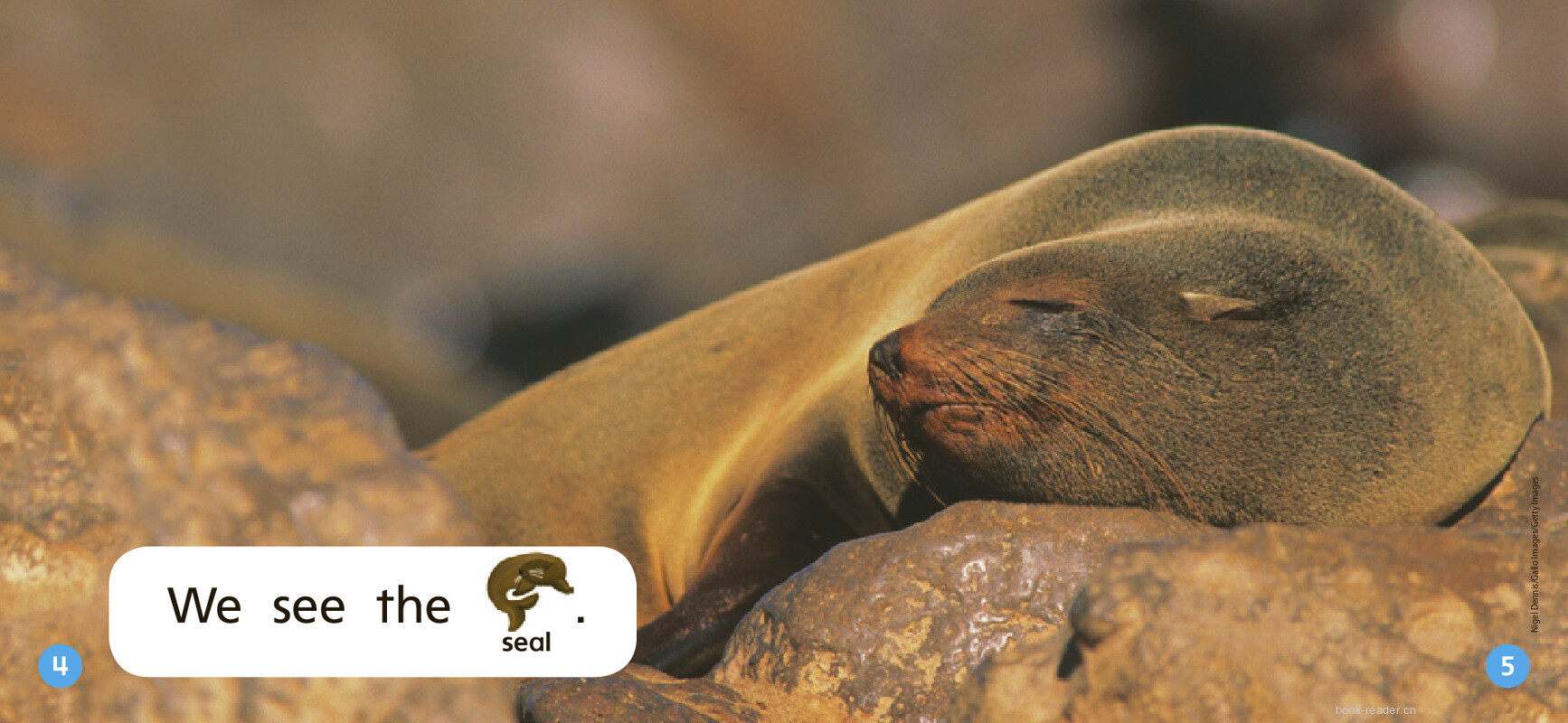 GK Approach U01W3 The Beach绘本故事第4页