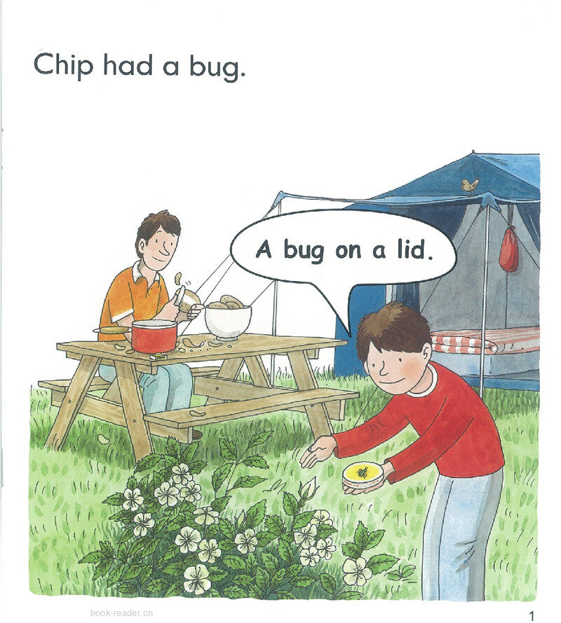 L1 Big, Bad Bug绘本故事第3页