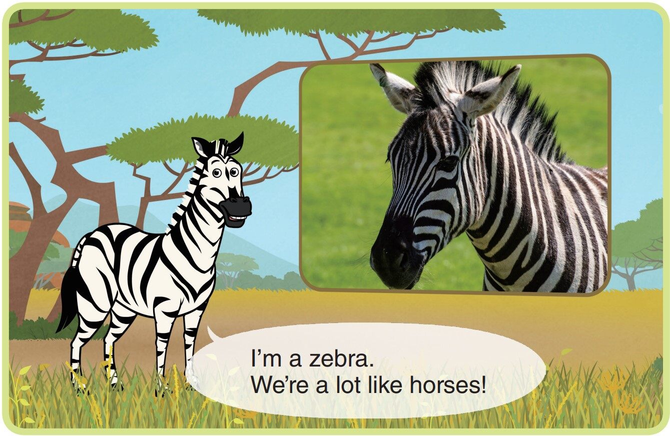 Zebra绘本故事第3页
