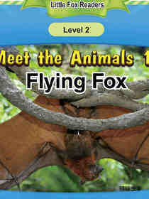 Flying Fox
