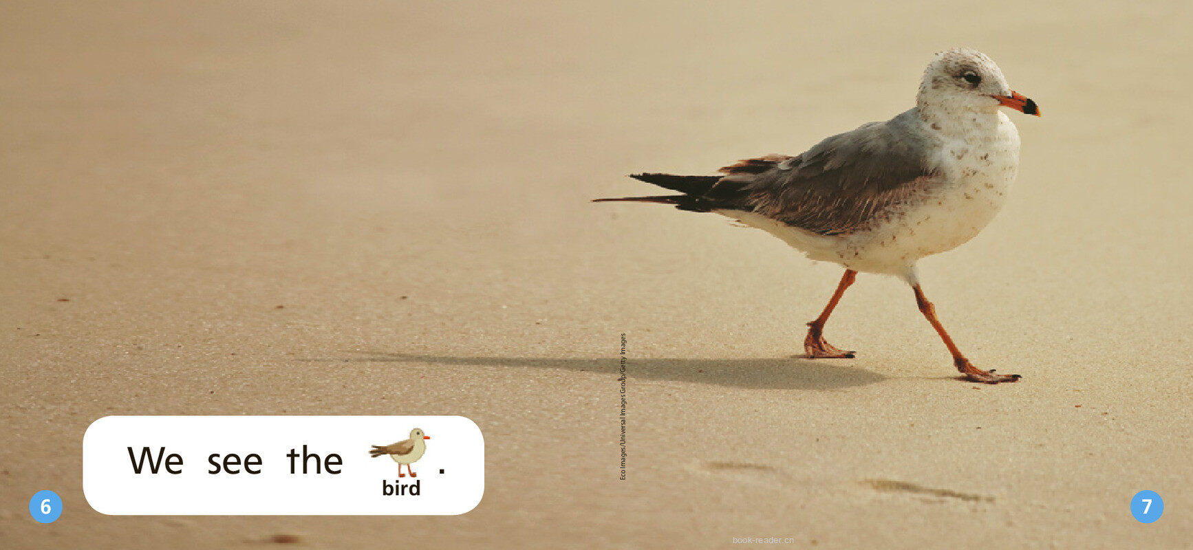 GK Approach U01W3 The Beach绘本故事第5页