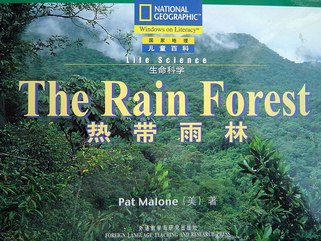 the rain forest绘本故事第2页