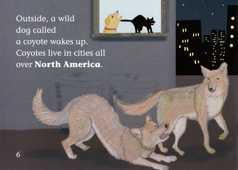 Wild dog in the city绘本故事第5页