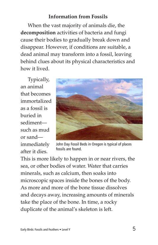 Early Birds Fossils and Feathers绘本故事第4页