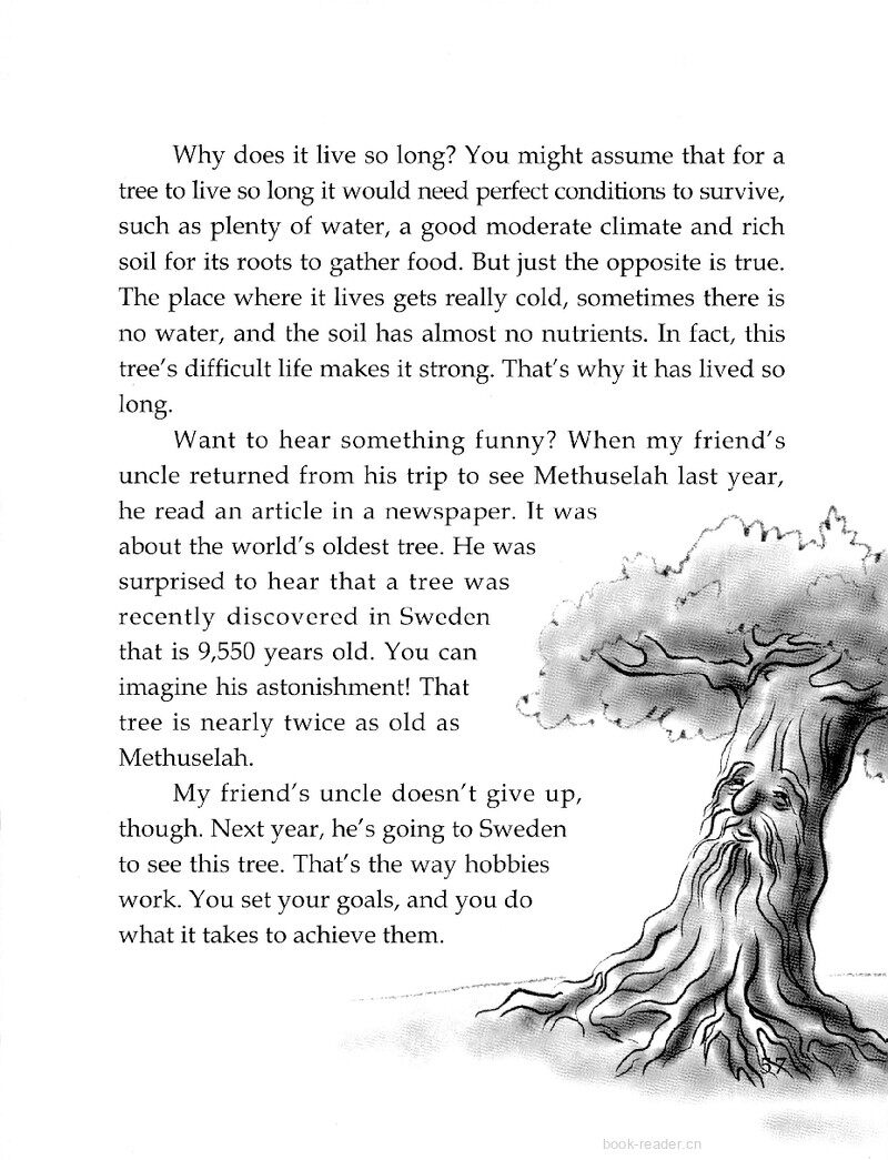 The World’s Oldest Tree绘本故事第3页