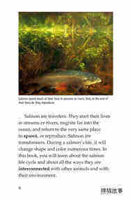 Salmon A Link in the Food Chain绘本故事第5页