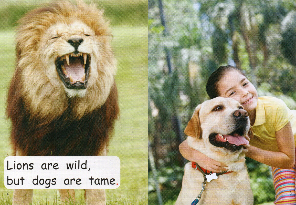 this or that绘本故事第3页