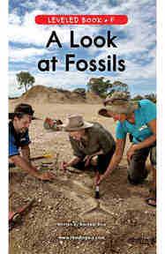 A Look at Fossils